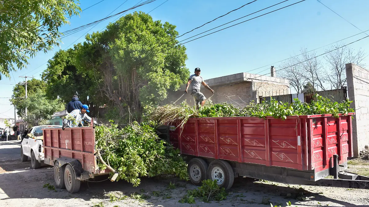 Programa "Limpiemos Lerdo" continúa con acciones de limpieza