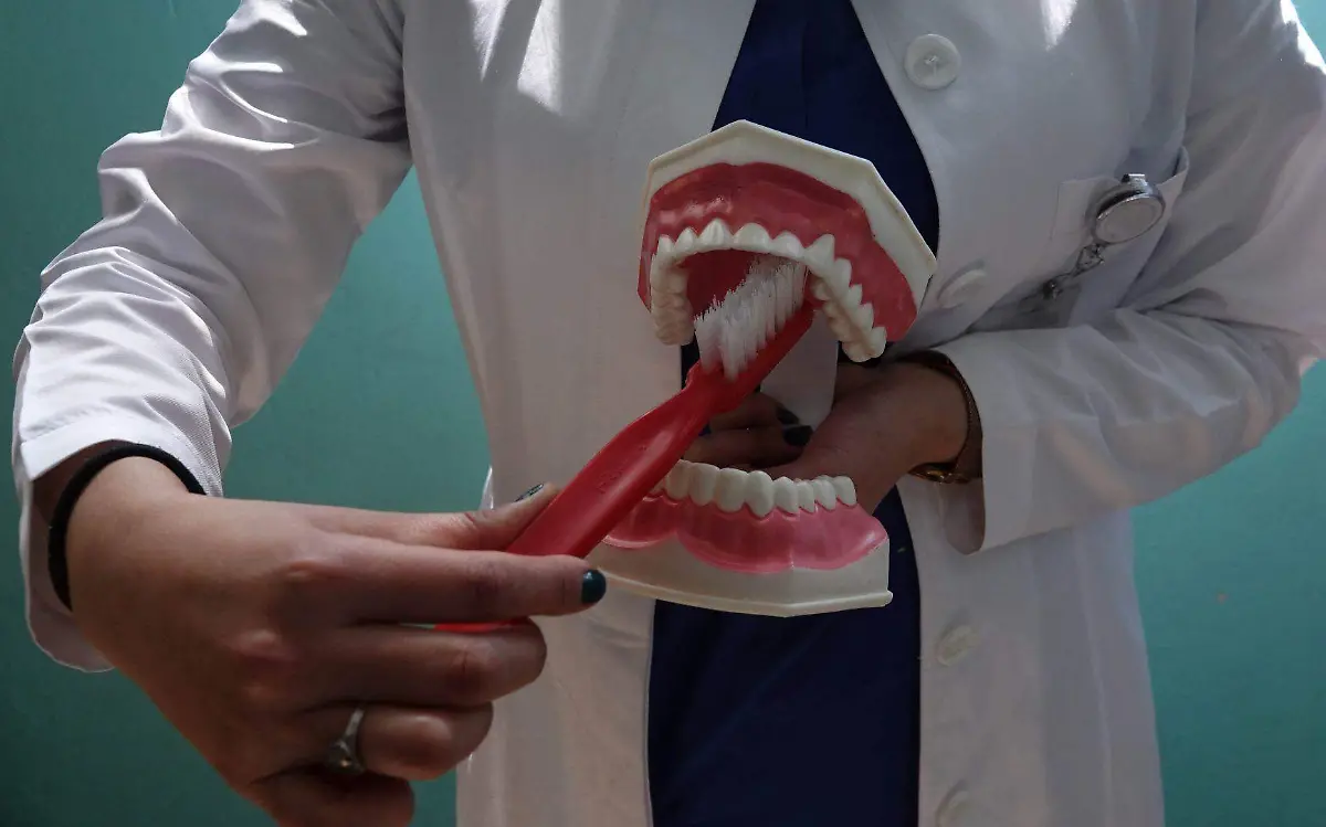 Dentista / educación bucal