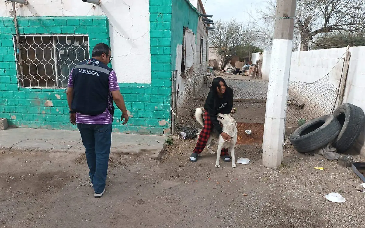 Llama Control Animal al buen resguardo de sus mascotas