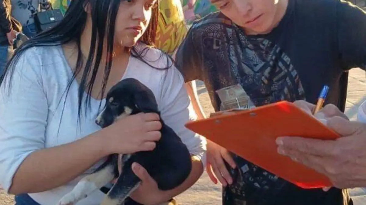 Control y bienestar animal impulsan programa de “Adopción de Mascotas”