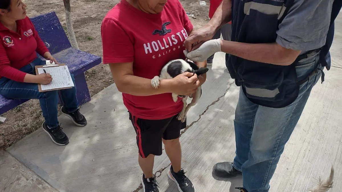 Continúa campaña de desparasitación en Gómez Palacio