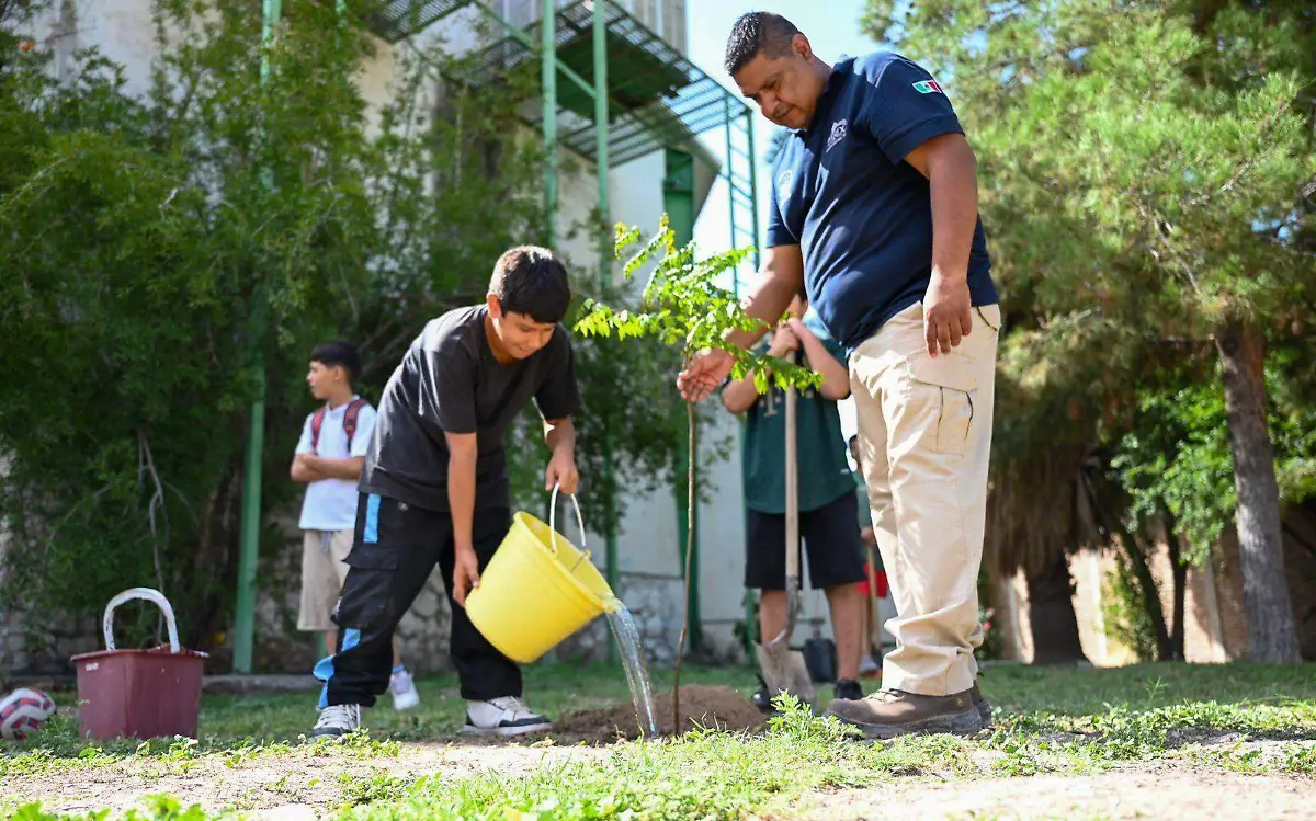 Atiende servicios públicos alumbrado en bulevar Alemán