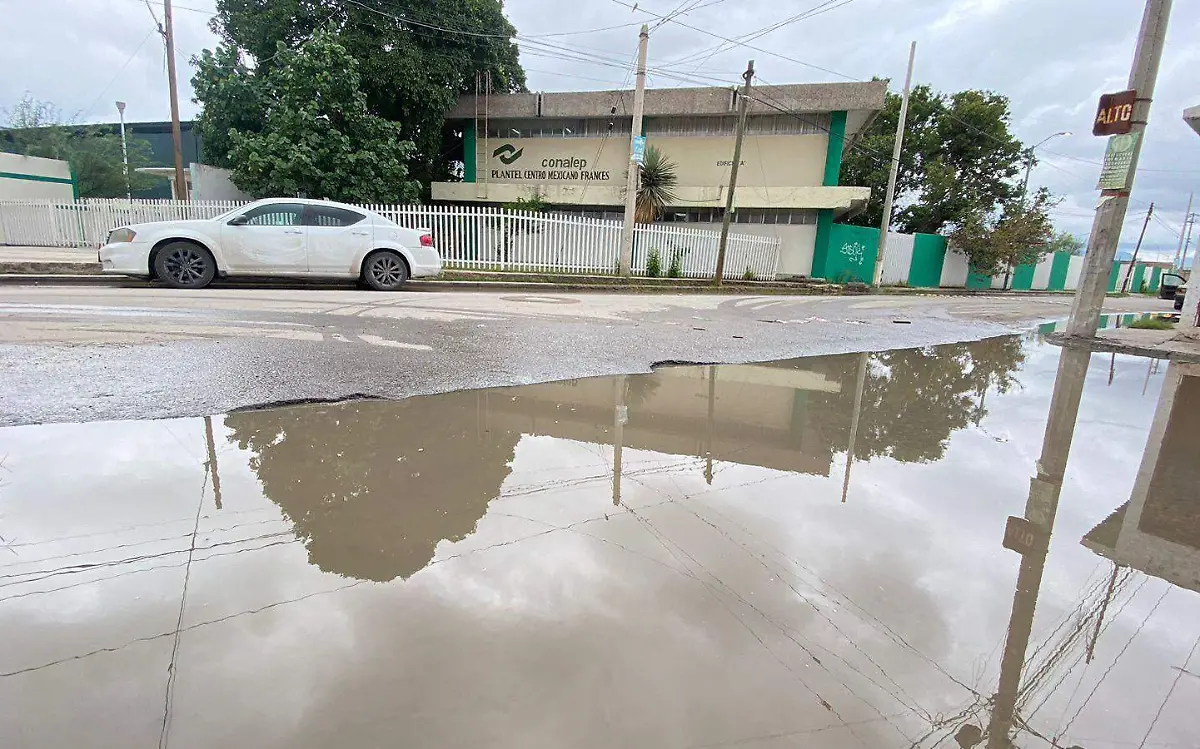 Confirman primer caso de dengue hemorrágico en Conalep de Gómez Palacio