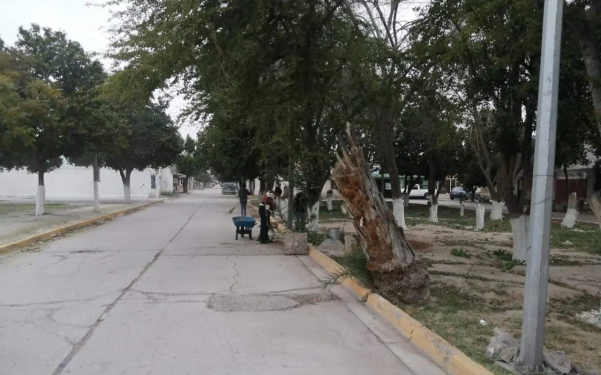 Realizan brigadas de limpieza en Gómez Palacio