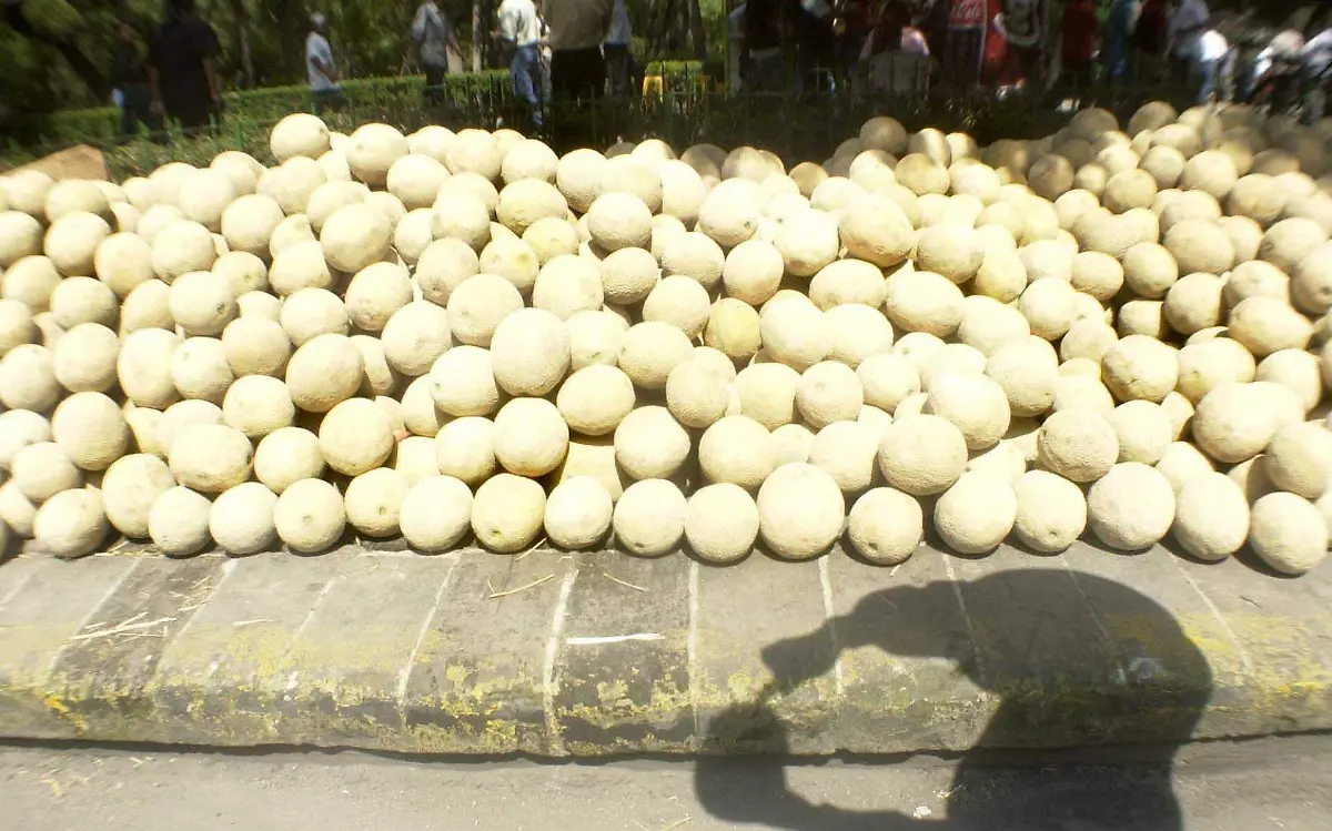 18894_Productores de melón, Venta._web