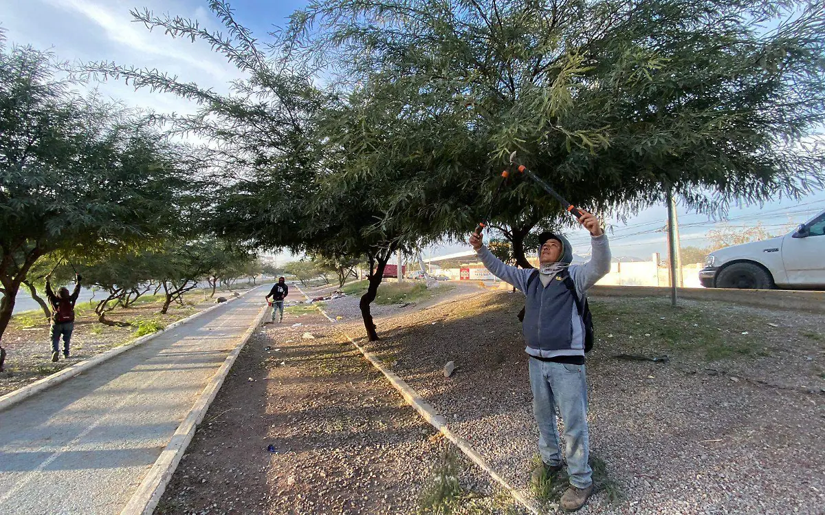 Continúan mejorando espacios públicos en Gómez Palacio
