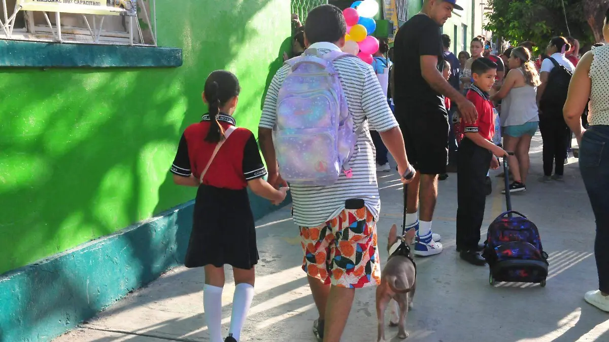 Van 60 casos documentados de anomalías en La Escuela es Nuestra