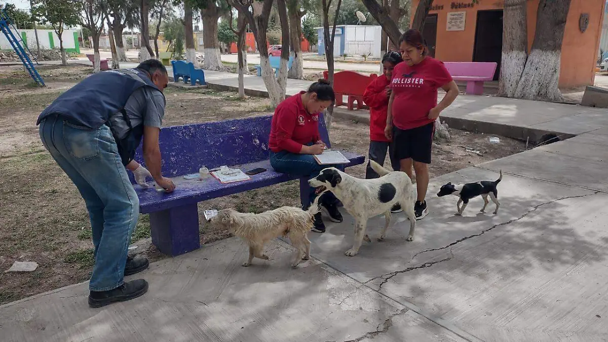 Continúa campaña de desparasitación en Gómez Palacio