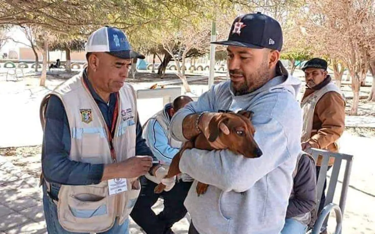 Llevarán a cabo nueva campaña de esterilización canina en Gómez Palacio