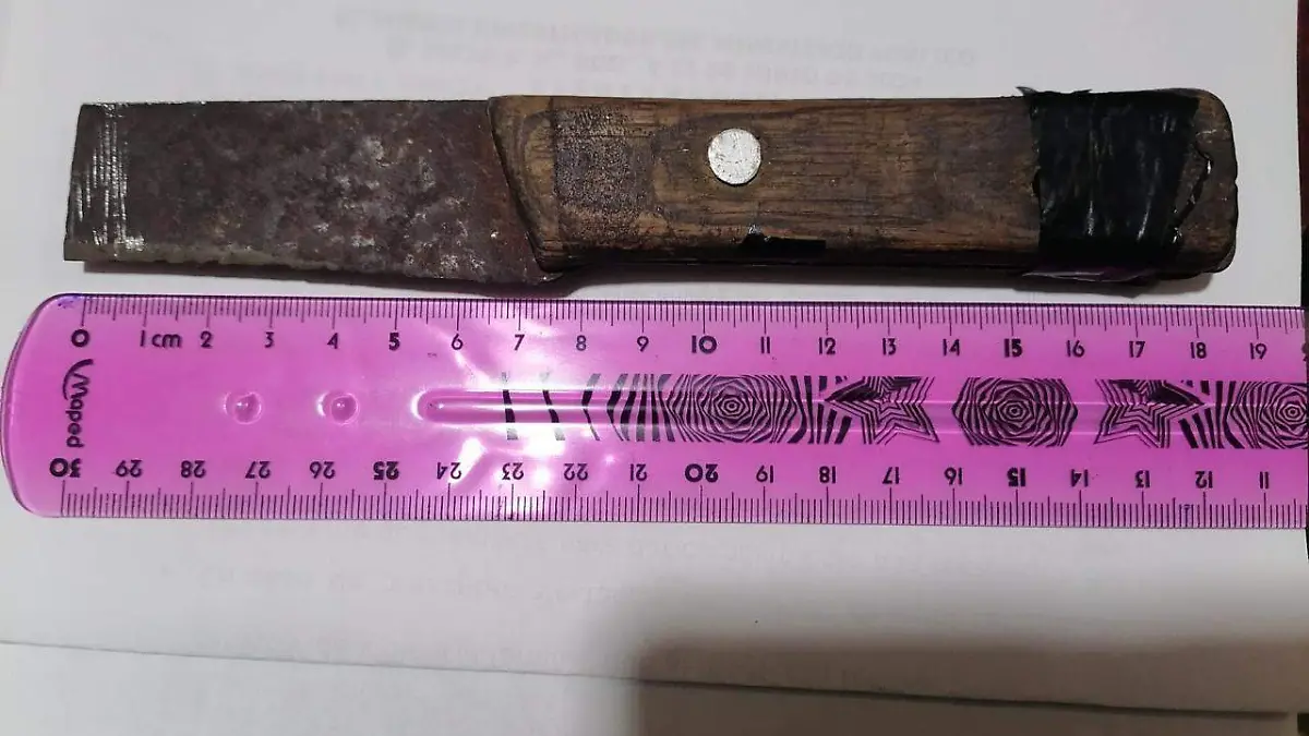 Golpeó a su madre y la amagó con arma blanca