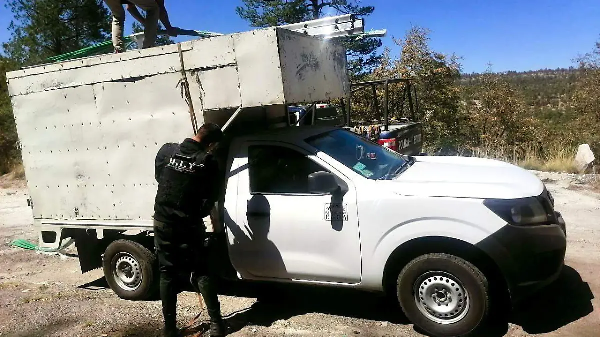 WhatsApp Image 2024-04-03 at 1.28.01 PM (1)