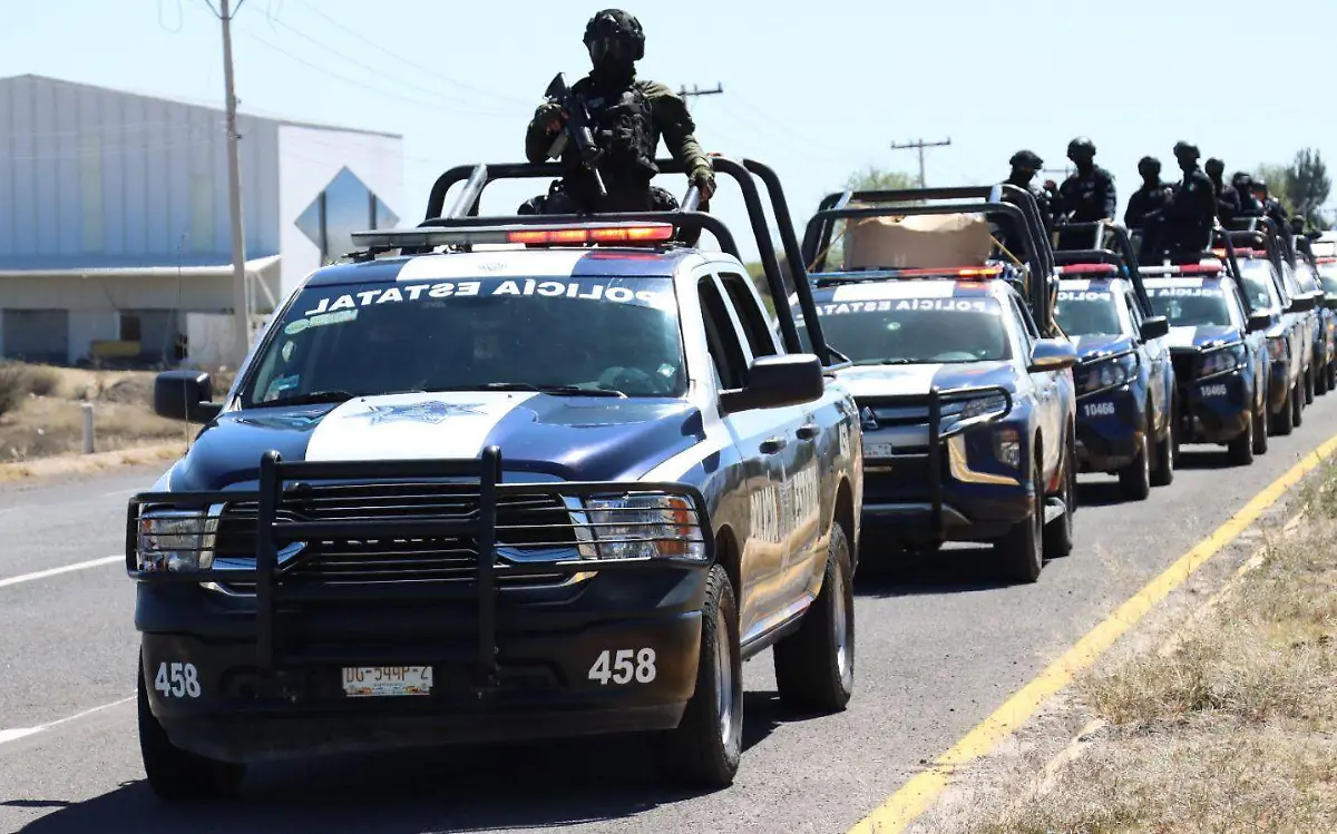 WhatsApp Image 2024-04-04 at 1.00.08 PM