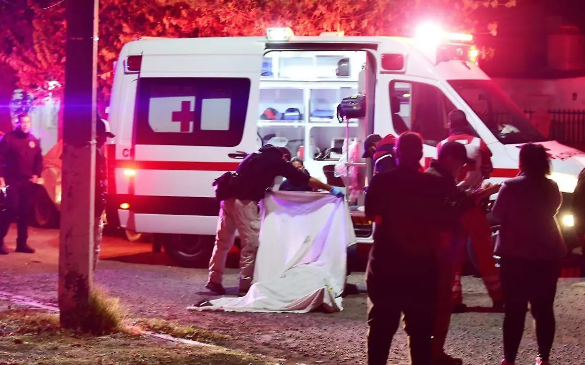 WhatsApp Image 2023-01-17 at 20.27.15 (1)