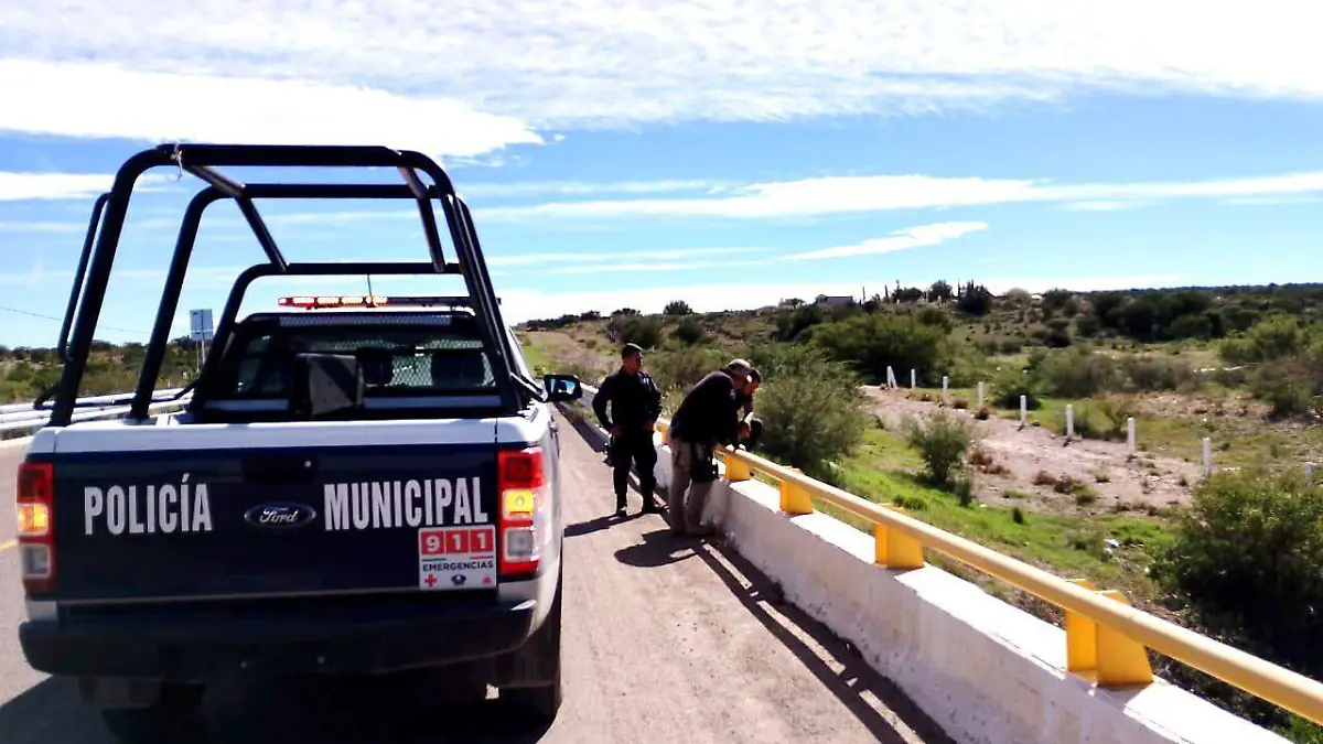 WhatsApp Image 2023-11-21 at 1.34.45 PM