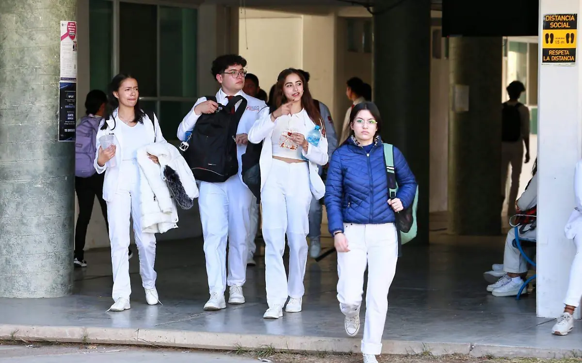 Estudiantes universitarios 2024