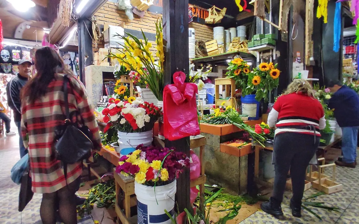 Incrementa venta de flor de nochebuena en Durango