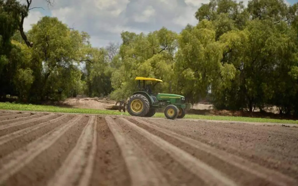 tractor manejo del campo agricola agricultores campos