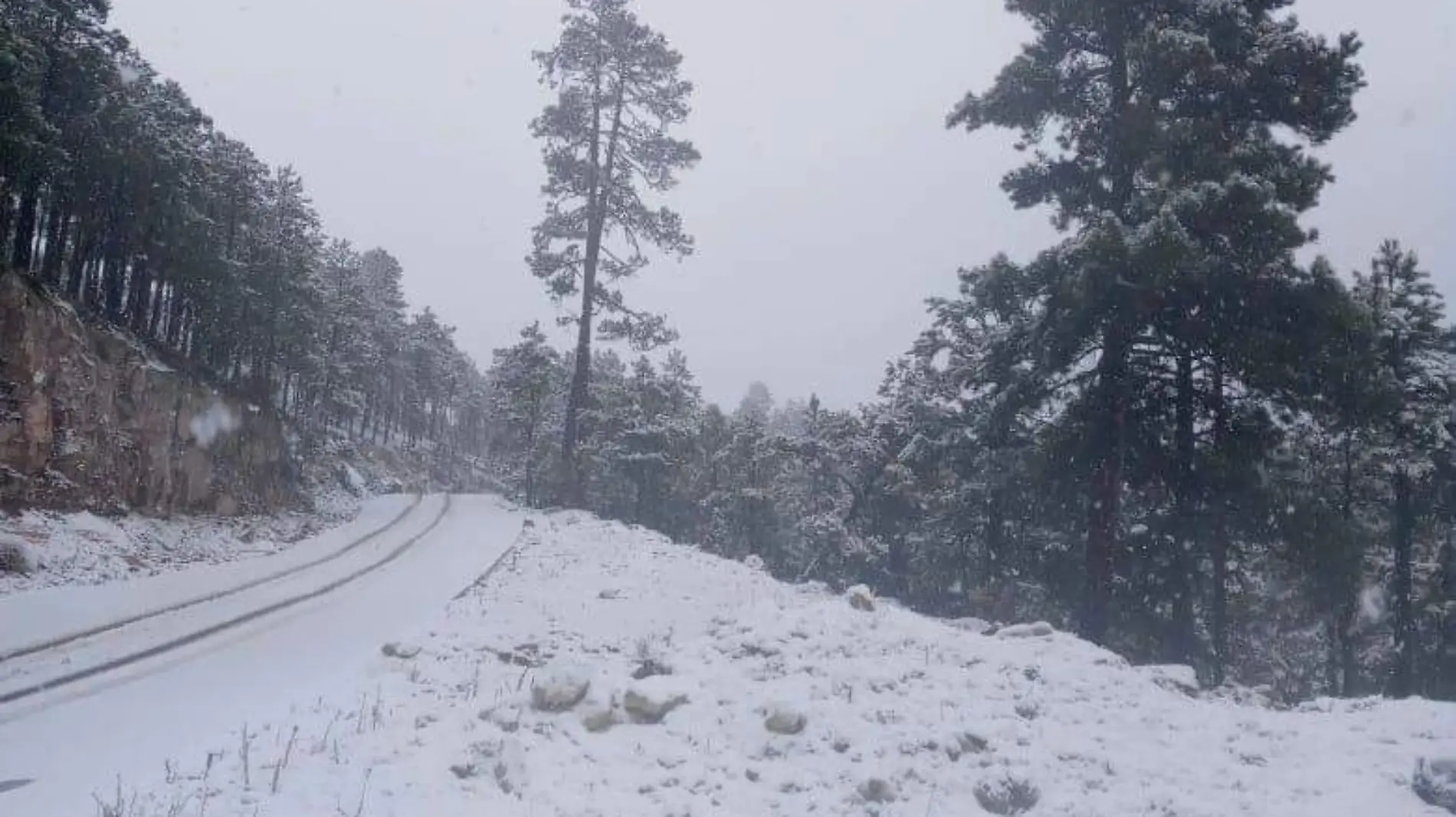 Prevén lluvia y nevadas para Durango en los próximos días; ¿en qué zonas?