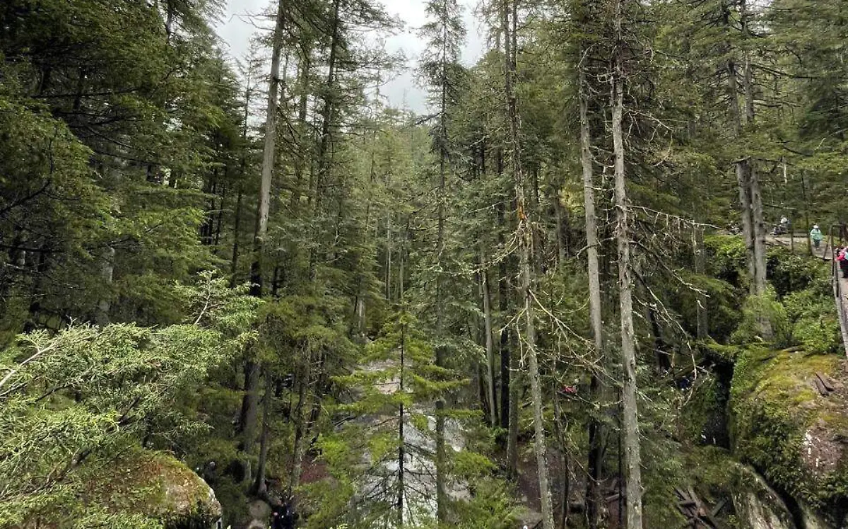 Paraje turístico Puentecillas en Durango