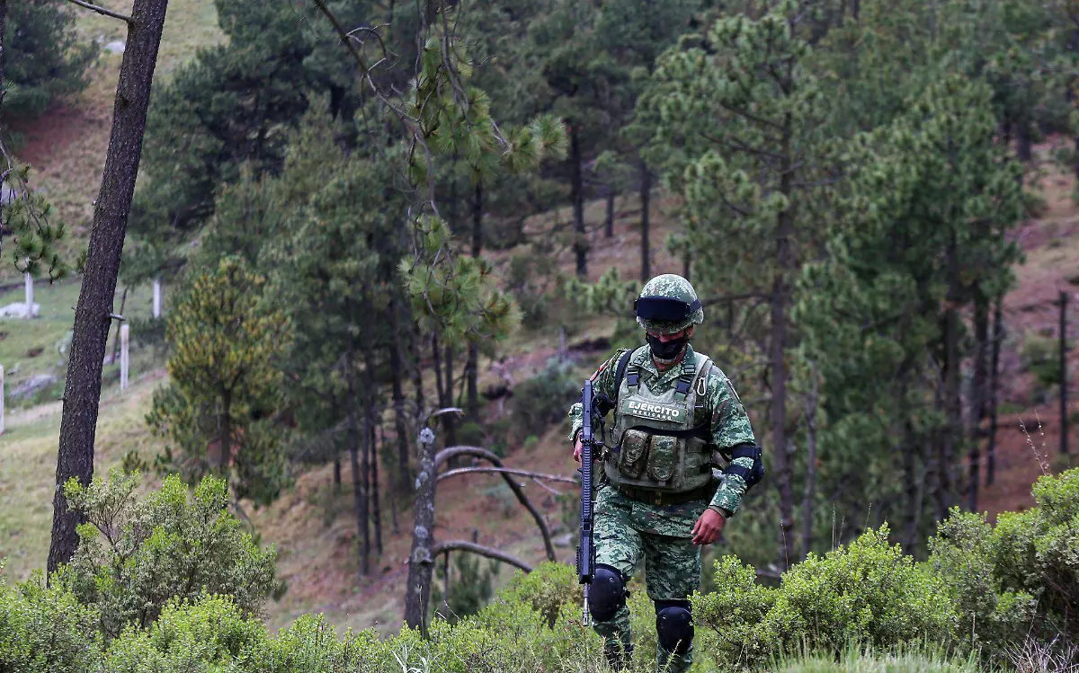 881015_Operativos en conjunto contra Tala ilegal -7_web