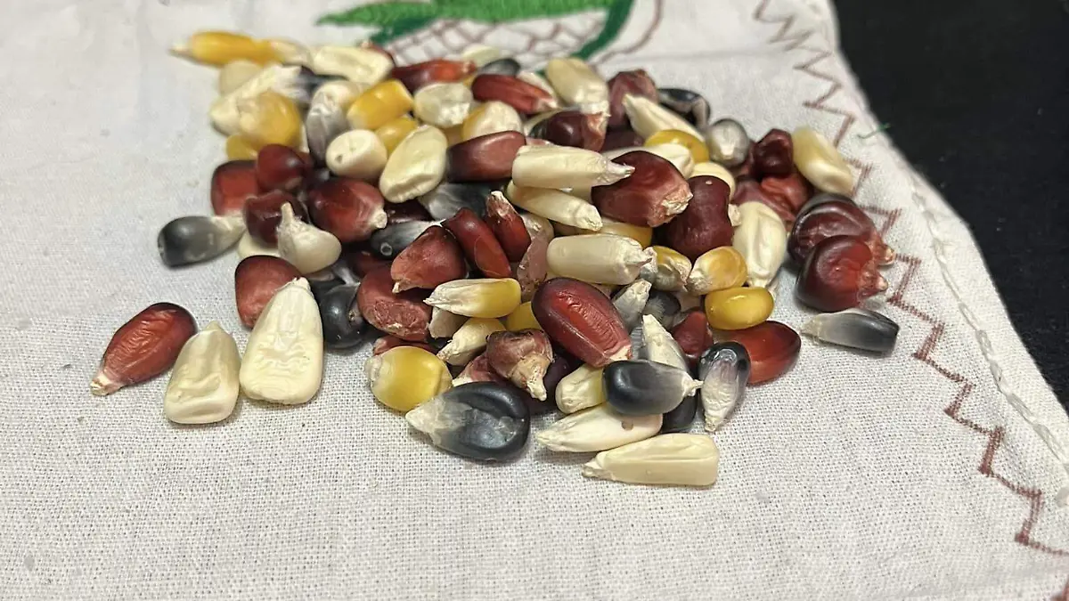 ¿Sabías que las brujas en Durango usaban la comida para hacer de las suyas?