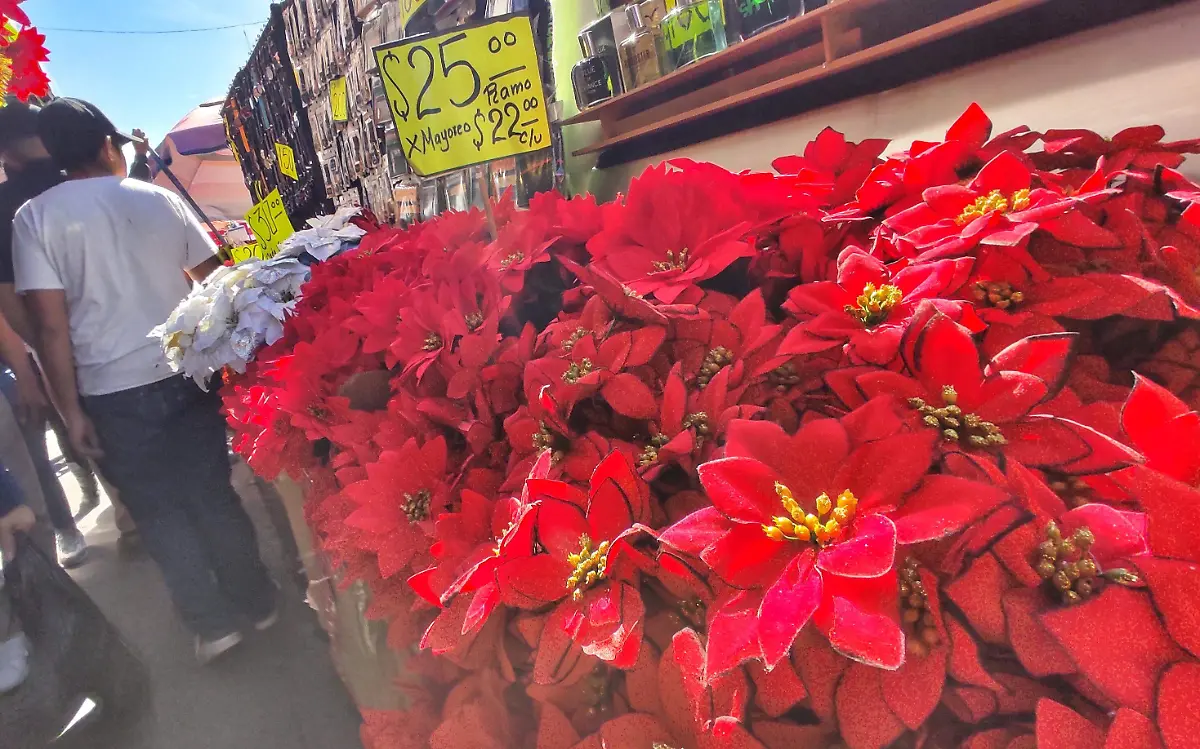 Incrementa venta de flor de nochebuena en Durango