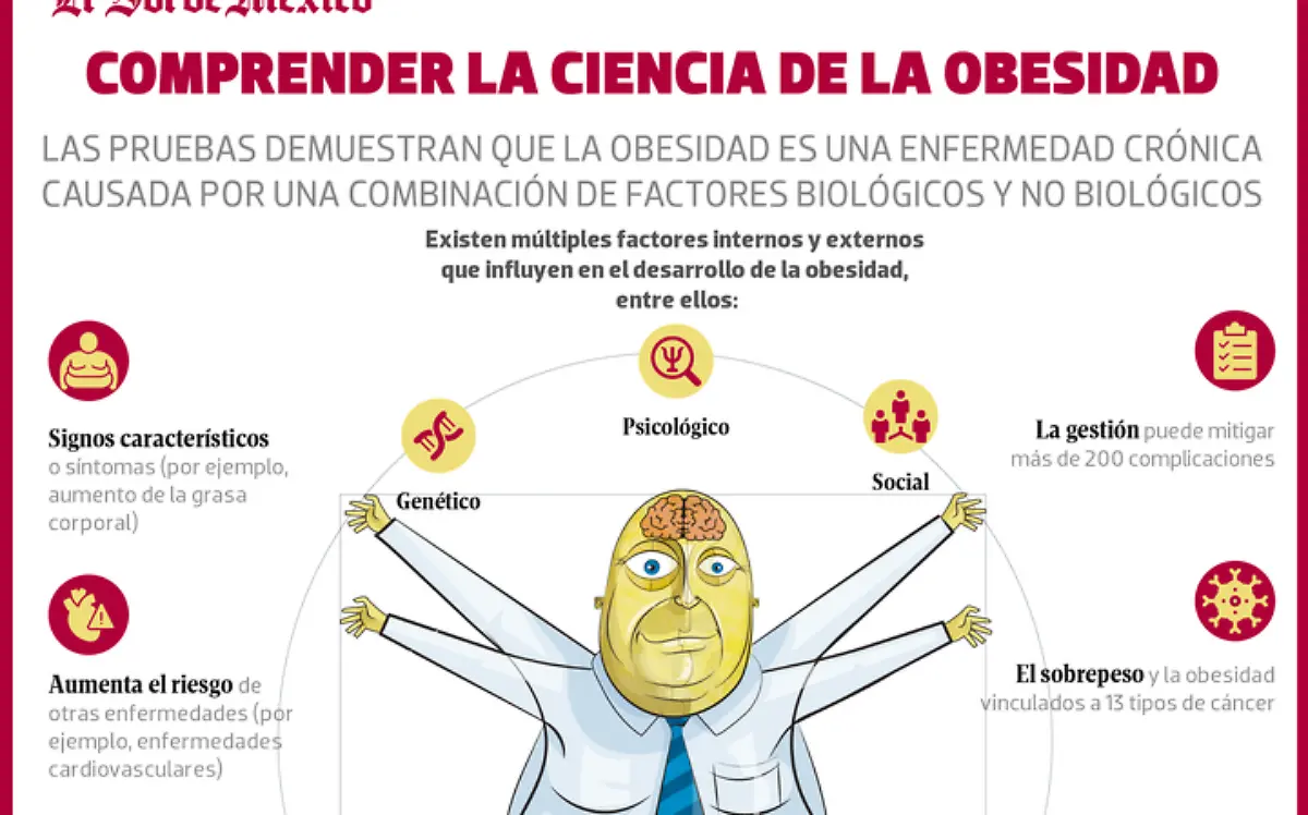 Infografía Comprender la ciencia de la obesidad 