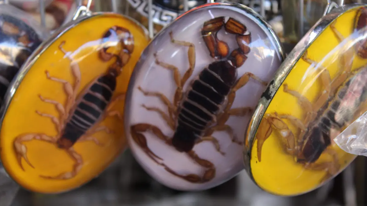 Productos hechos con alacrán