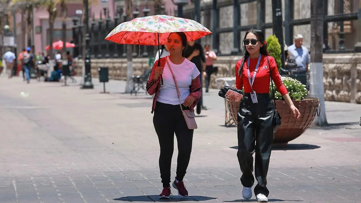 WhatsApp Image 2024-05-09 at 4.52.44 PM