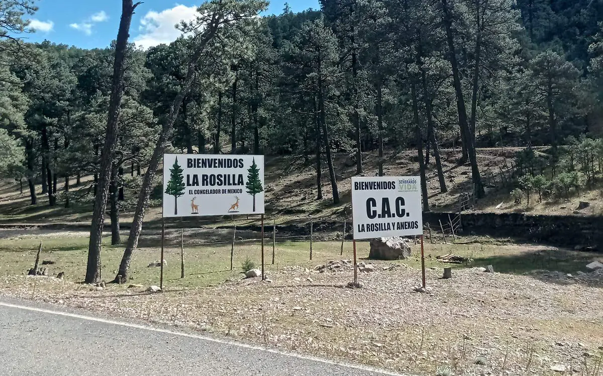 La Rosilla, “el congelador” de México, reporta temperaturas de -7°C