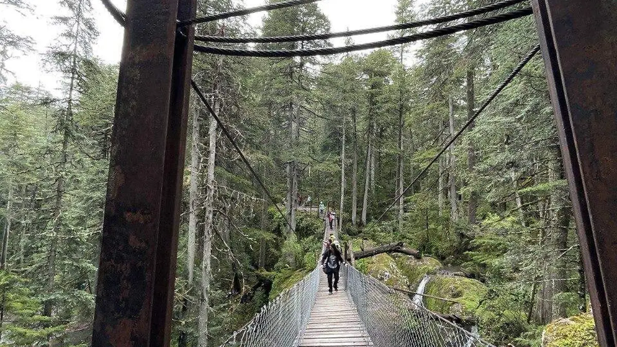 Paraje turístico puentecillas