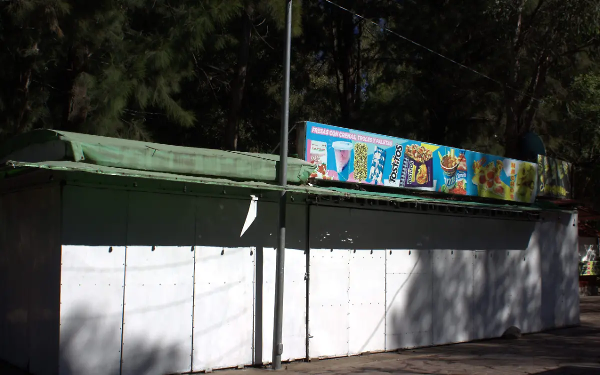 Comerciantes prevén incremento de ventas con el tradicional nacimiento