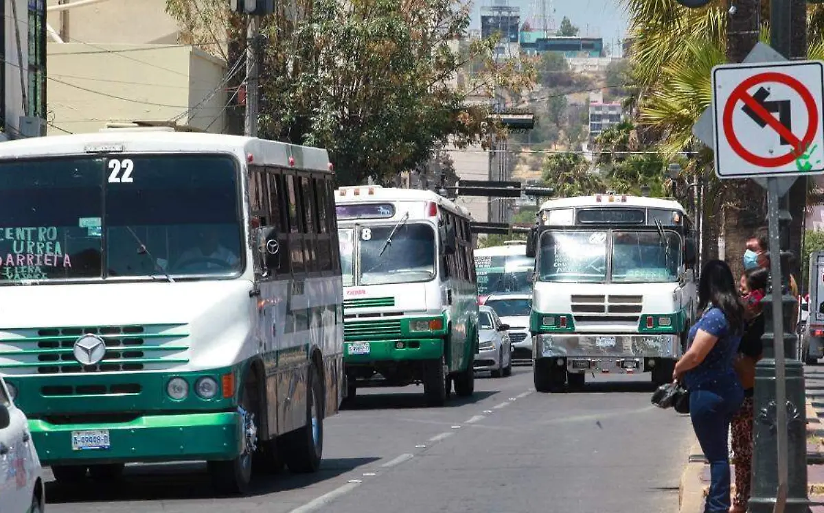 WhatsApp Image 2024-07-11 at 5.17.19 PM