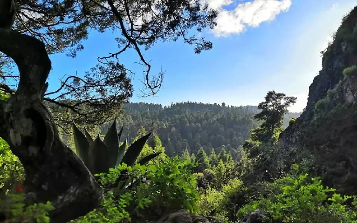 Nueva área natural protegida en la Comarca Lagunera de Durango