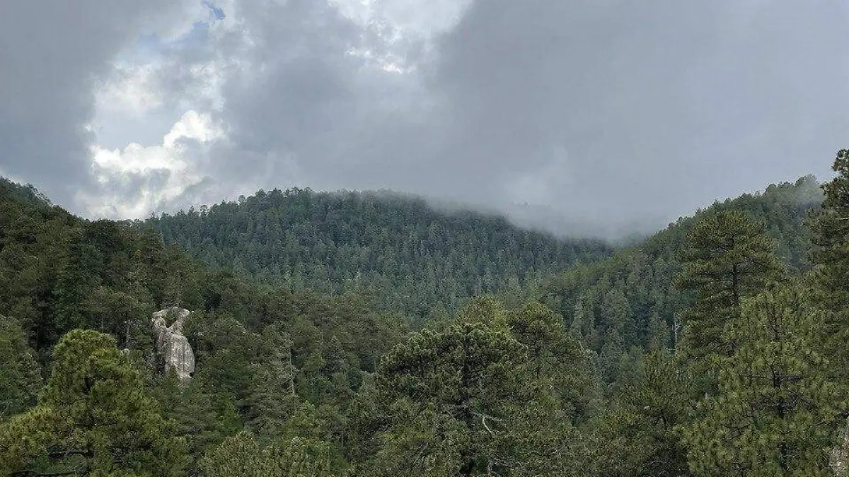 Paraje turístico puentecillas