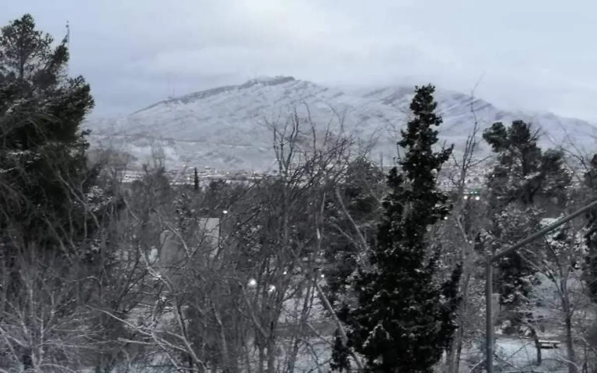 nevada (1)