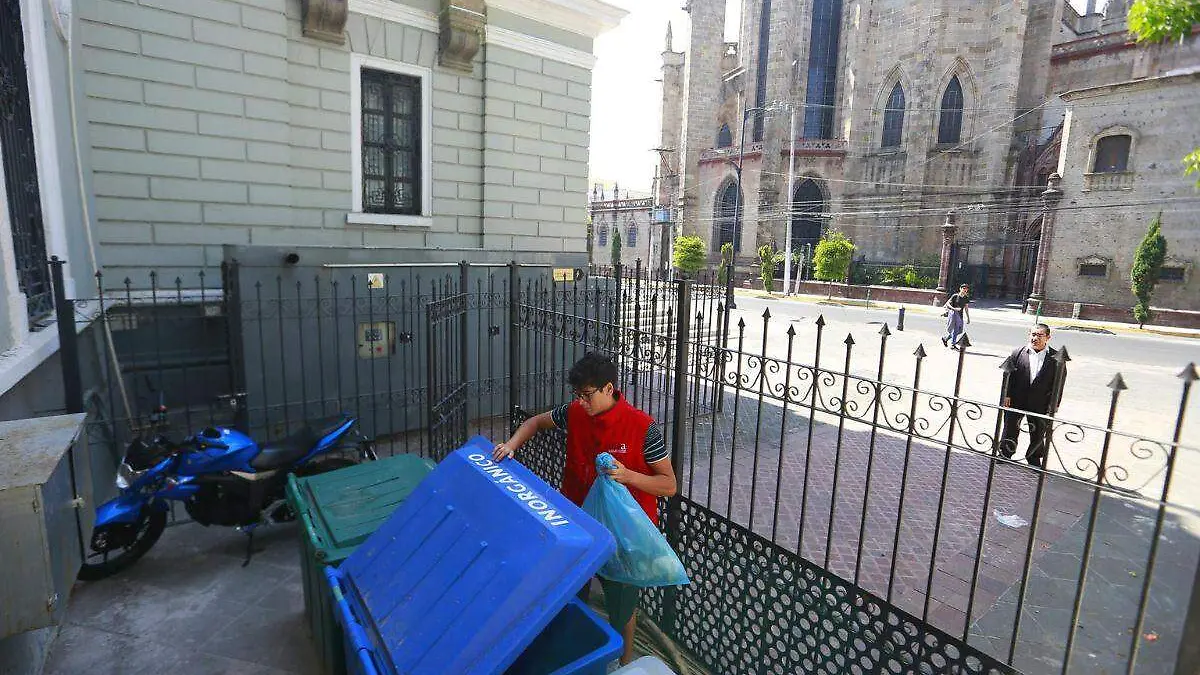 Unwasted, la plataforma digital que busca salvar la comida de la basura
