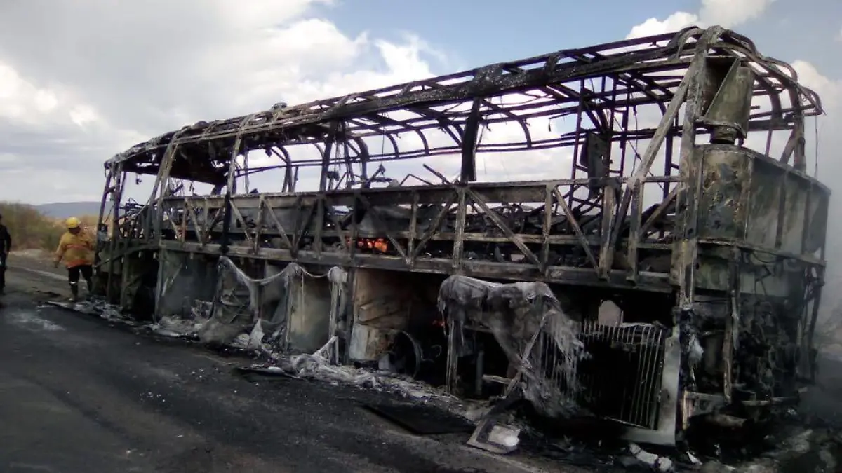 WhatsApp Image 2018-08-22 at 7.56