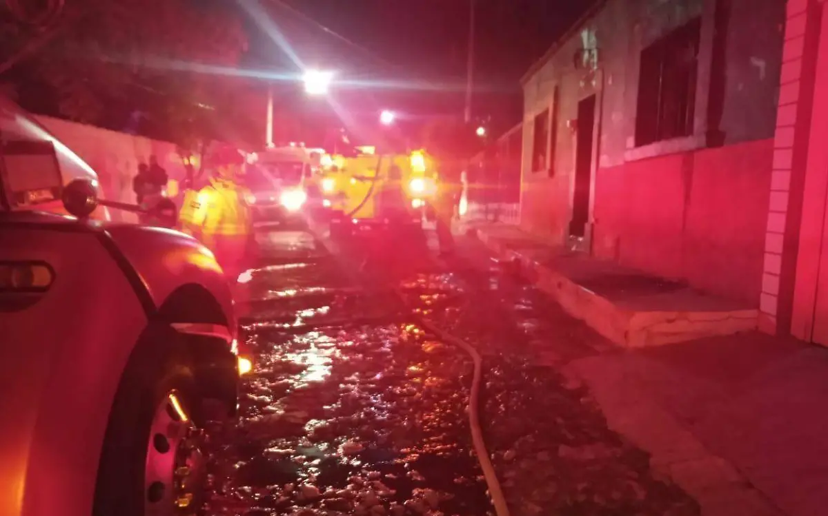 WhatsApp Image 2020-10-19 at 08.58.55