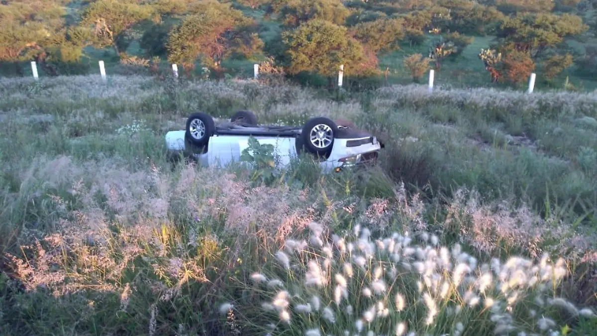 WhatsApp Image 2018-08-25 at 9.56