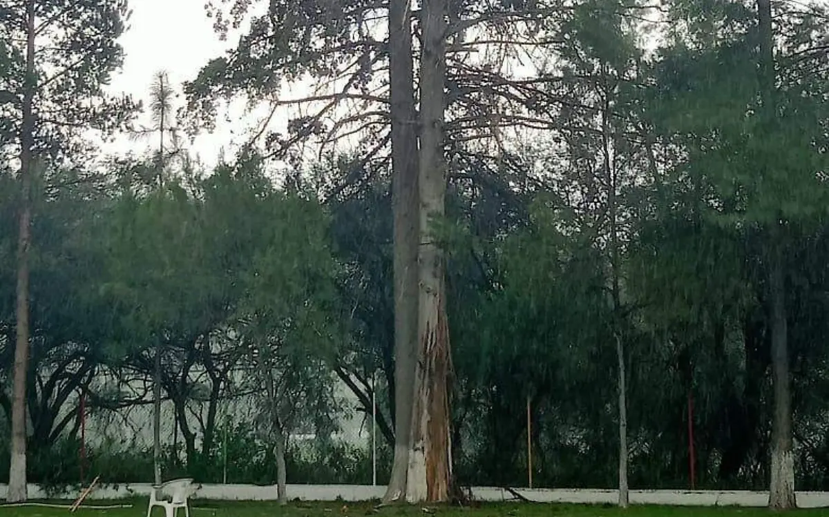 Rayo provoca caos en el Club Campestre de Durango