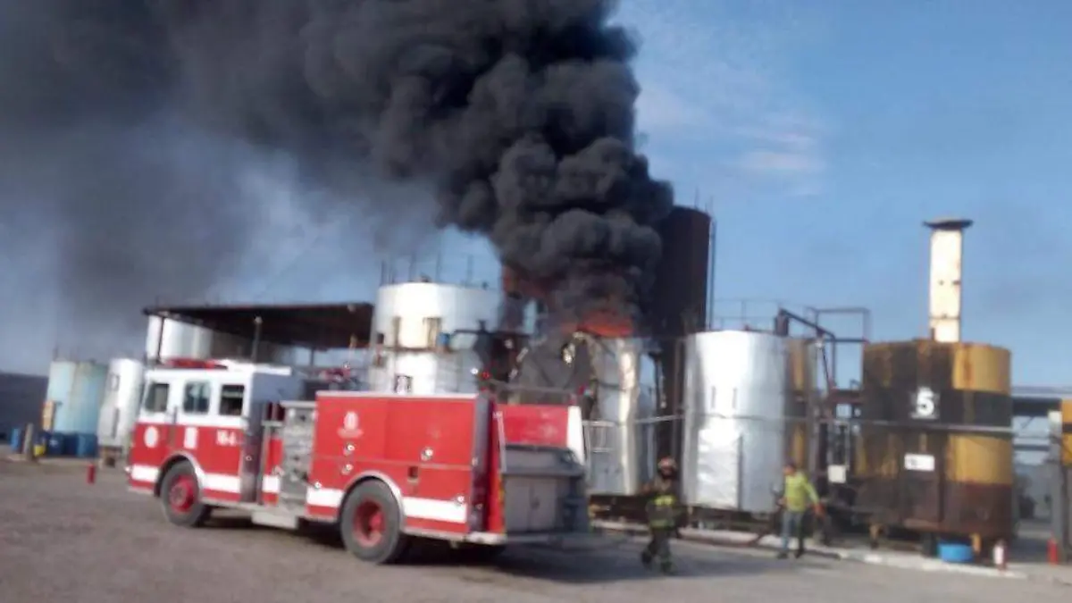 WhatsApp Image 2020-08-26 at 11.42.47 AM (1)