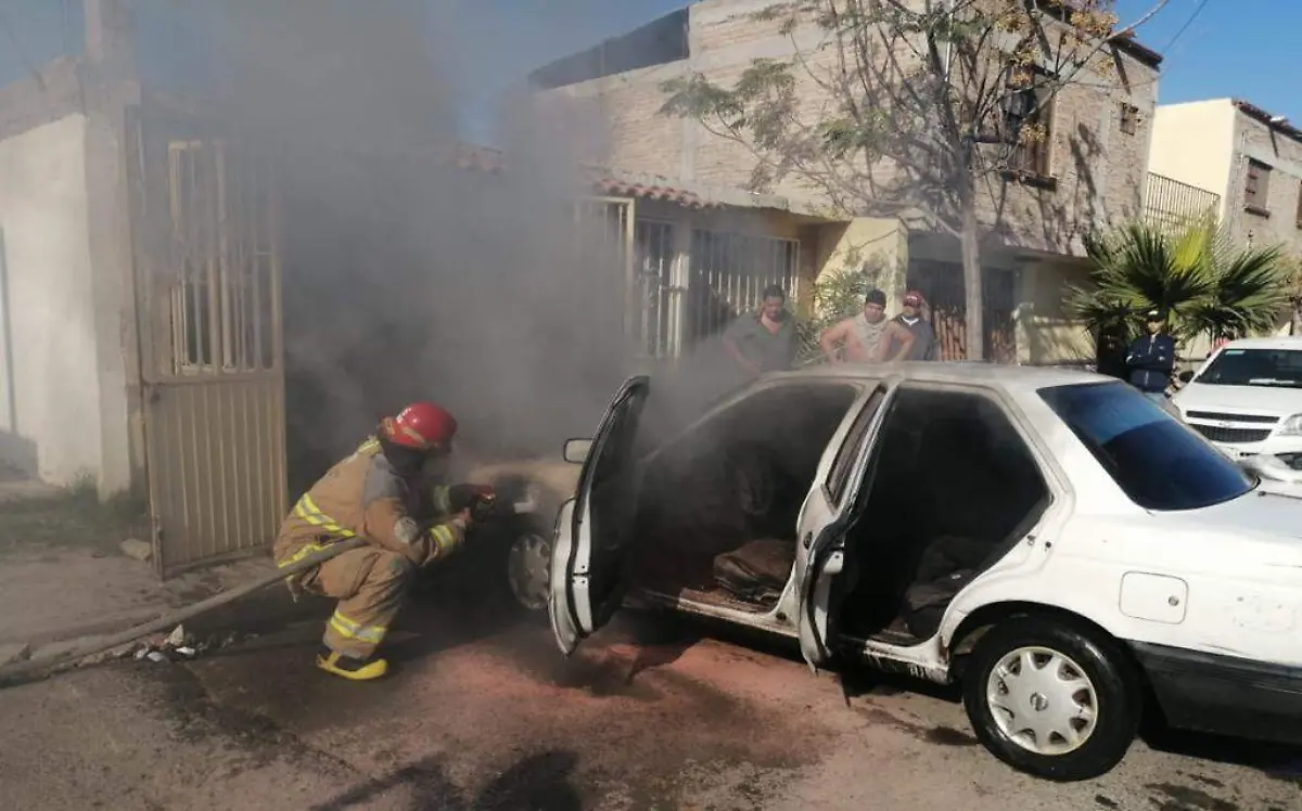 WhatsApp Image 2020-01-24 at 10.40.42 (4)