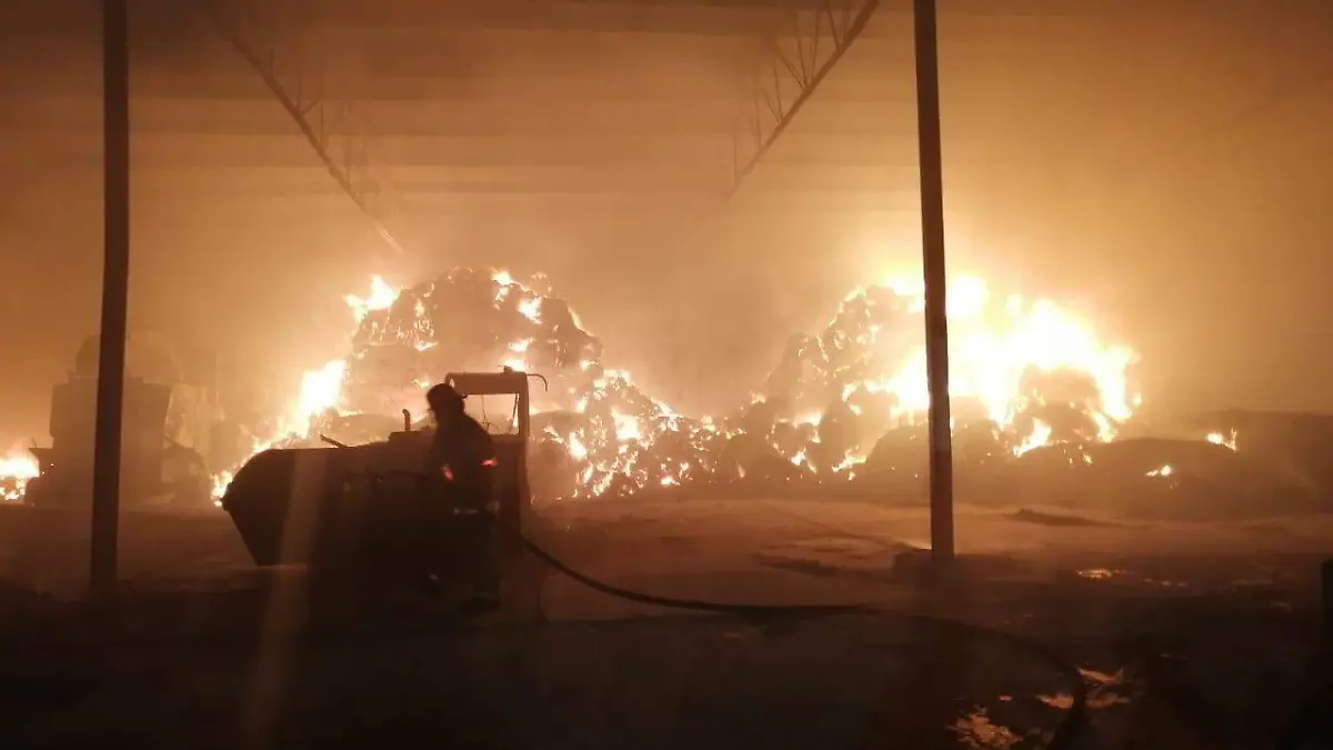 WhatsApp Image 2021-05-11 at 5.42.05 PM