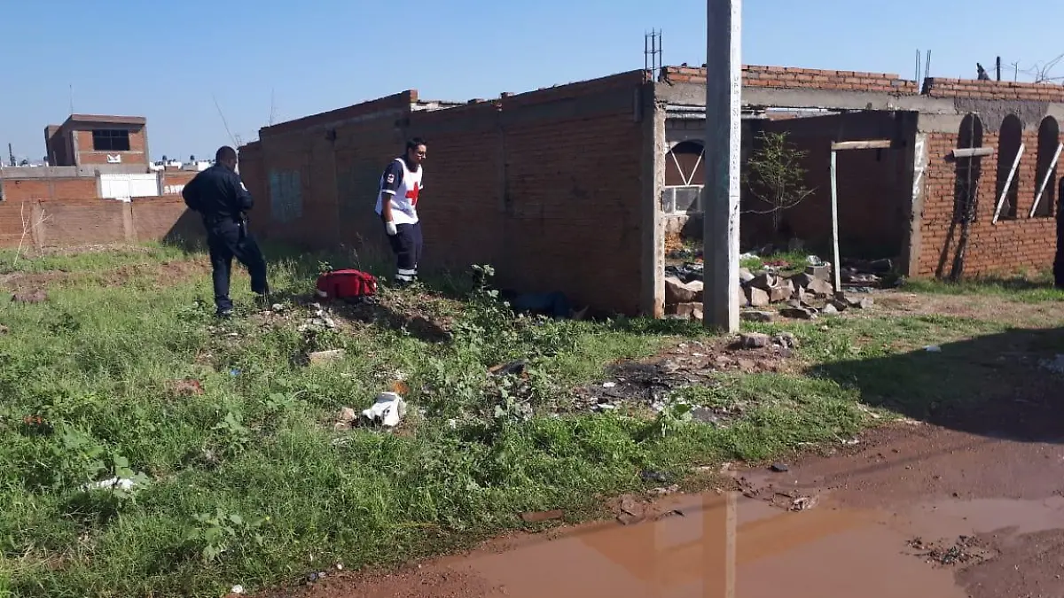 WhatsApp Image 2018-08-18 at 11.34