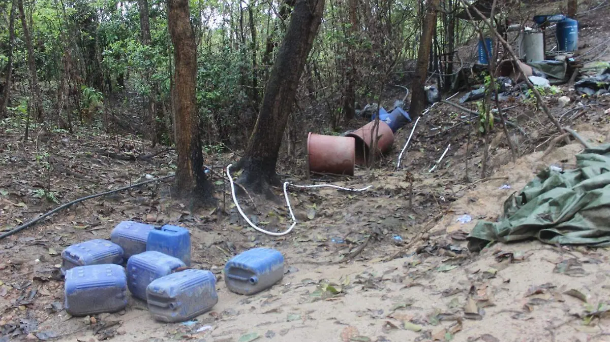 Aseguran narcolaboratorio en Tamazula