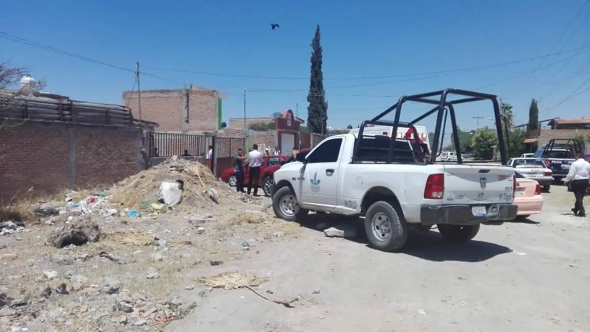 WhatsApp Image 2018-05-19 at 3.52