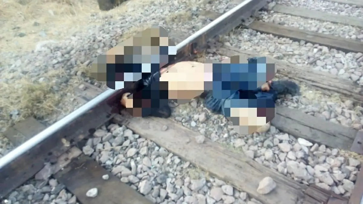 WhatsApp Image 2018-06-12 at 11.22