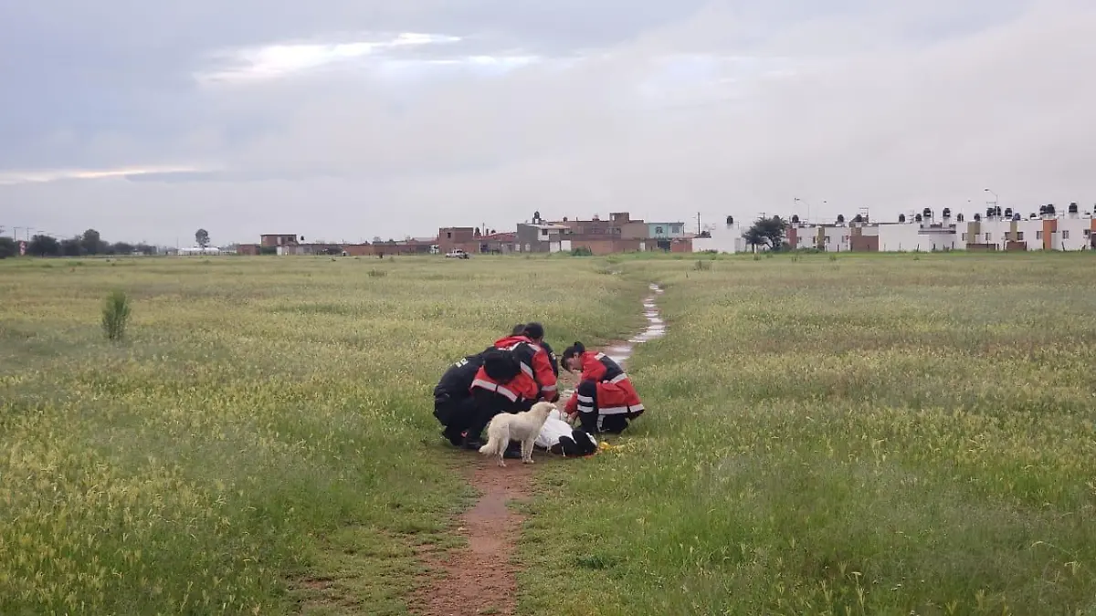 WhatsApp Image 2018-09-07 at 1.03