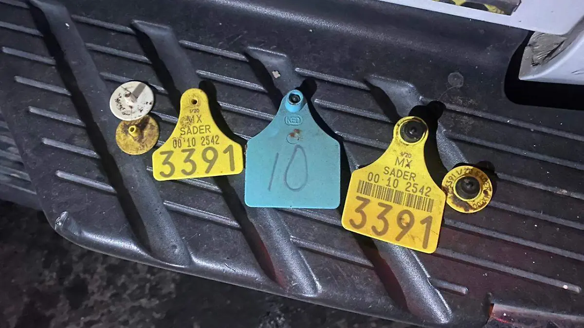 Camioneta choca contra semoviente en Canatlán